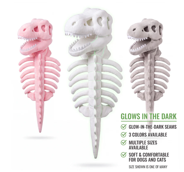 Glow in the Dark Dino Suit + FREE GIFTS